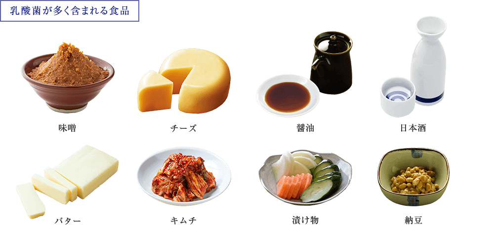 【乳酸菌が多く含まれる食品】味噌・チーズ・醤油・日本酒・バター・キムチ・漬け物・納豆