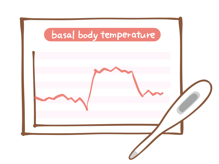 基礎体温の計測イメージ