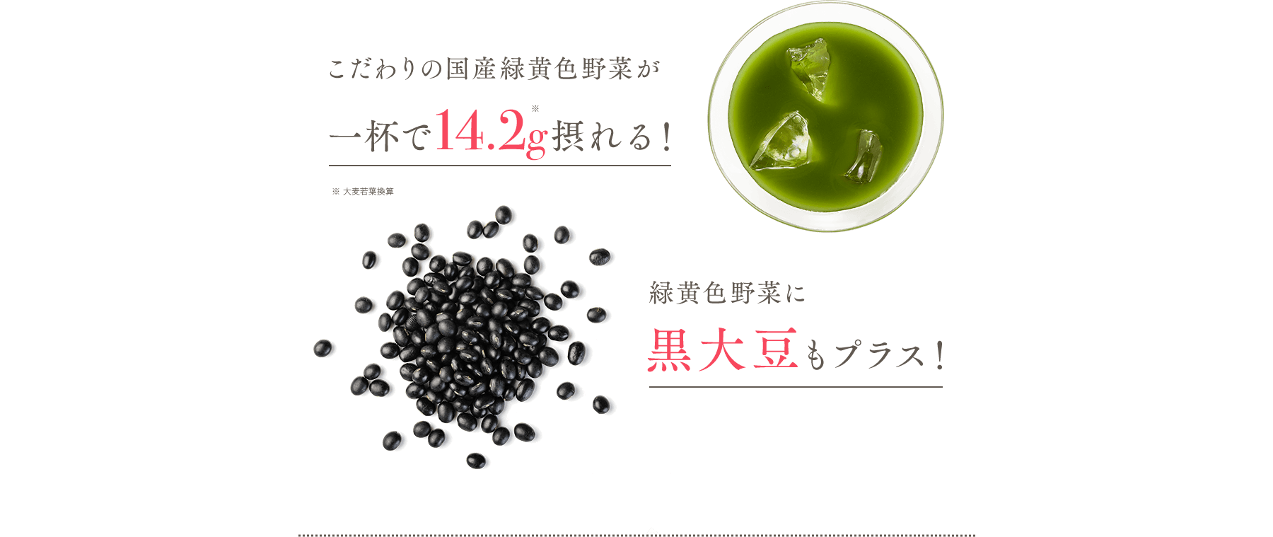 こだわりの国産緑黄色野菜が一杯で14.2g採れる!※大麦若葉換算 緑黄色野菜に黒大豆もプラス!