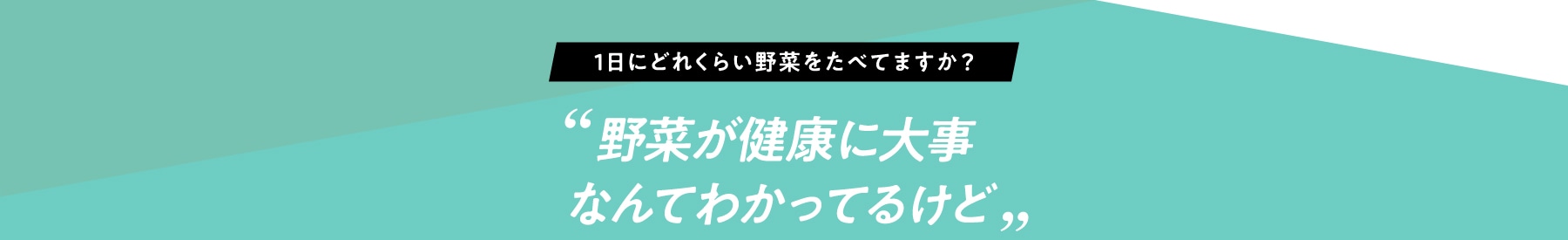 1日にどれくらい野菜をたべてますか? 野菜が健康に大事なんてわかってるけどこんな言い訳してませんか?