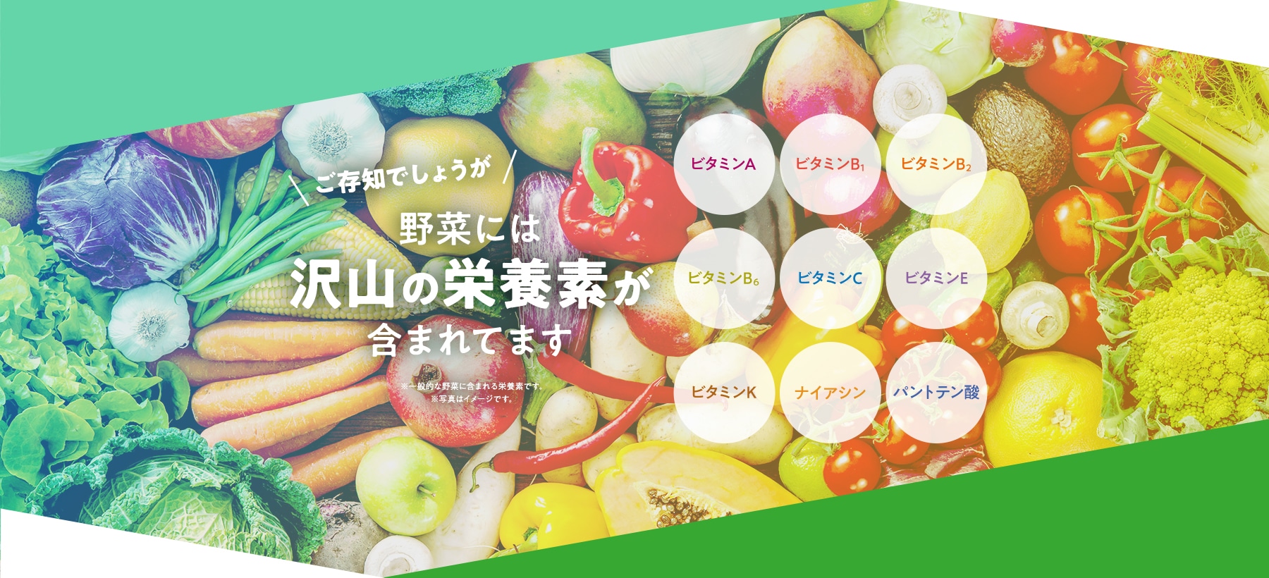 \ご存知でしょうが/野菜には沢山の栄養素が含まれています ビタミンA ビタミンB1 ビタミンB2 ビタミンC ビタミンK ビタミンB6 パントテン酸 ナイアシン ビタミンE