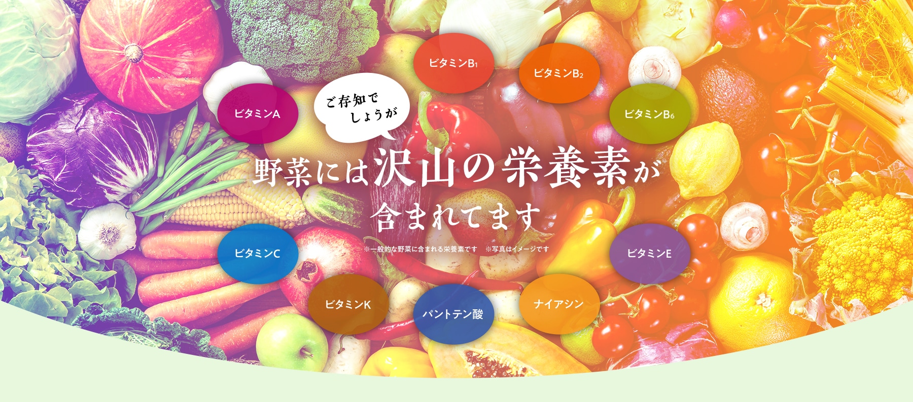 \ご存知でしょうが/野菜には沢山の栄養素が含まれています ビタミンA ビタミンB1 ビタミンB2 ビタミンC ビタミンK ビタミンB6 パントテン酸 ナイアシン ビタミンE