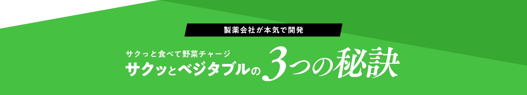 製薬会社が本気で開発 サクっと食べて野菜チャージ サクッとベジタブルの3つの秘訣