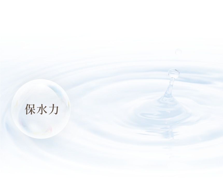 保水力