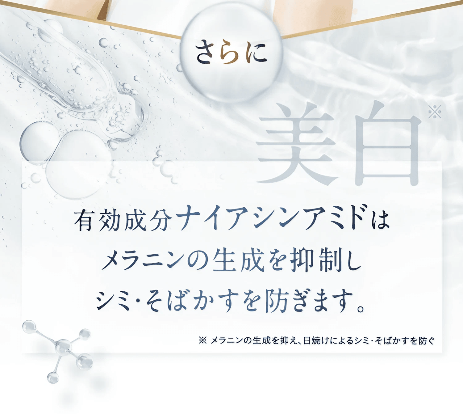 さらに 美白※ 有効成分ナイアシンアミドはメラニンの生成を抑制しシミ・そばかすを防ぎます。 ※メラニンの生成を抑え、日焼けによるシミ・そばかすを防ぐ