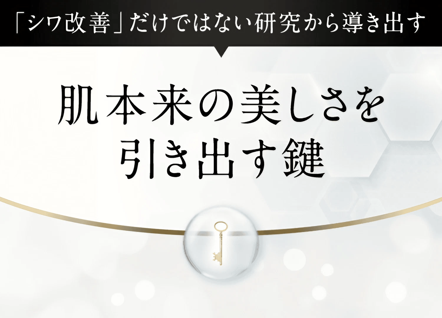 「シワ改善」だけではない研究から導き出す 肌本来の美しさを引き出す鍵