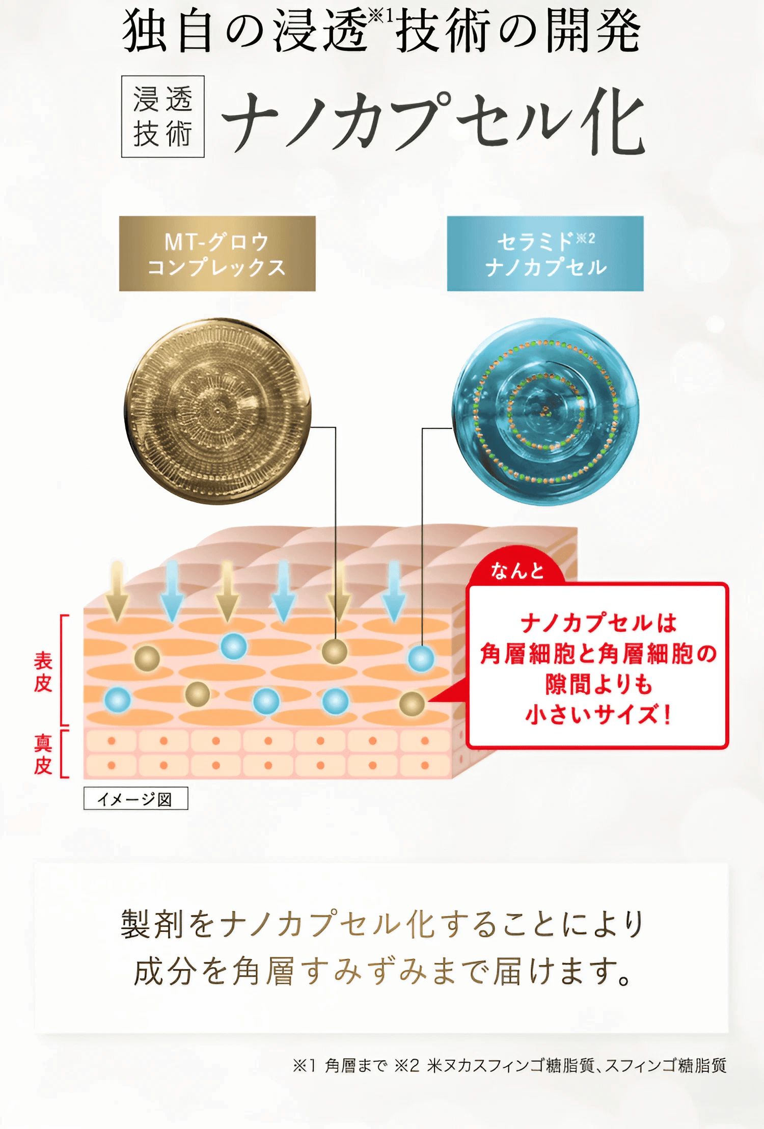 独自の浸透※1技術の開発 浸透技術 ナノカプセル化 MT-グロウコンプレックス セラミド※2ナノカプセル/ なんとナノカプセルは角質細胞と角層細胞の隙間よりも小さいサイズ！ / 製剤をナノカプセル化することにより 成分を角層すみずみまで届けます。