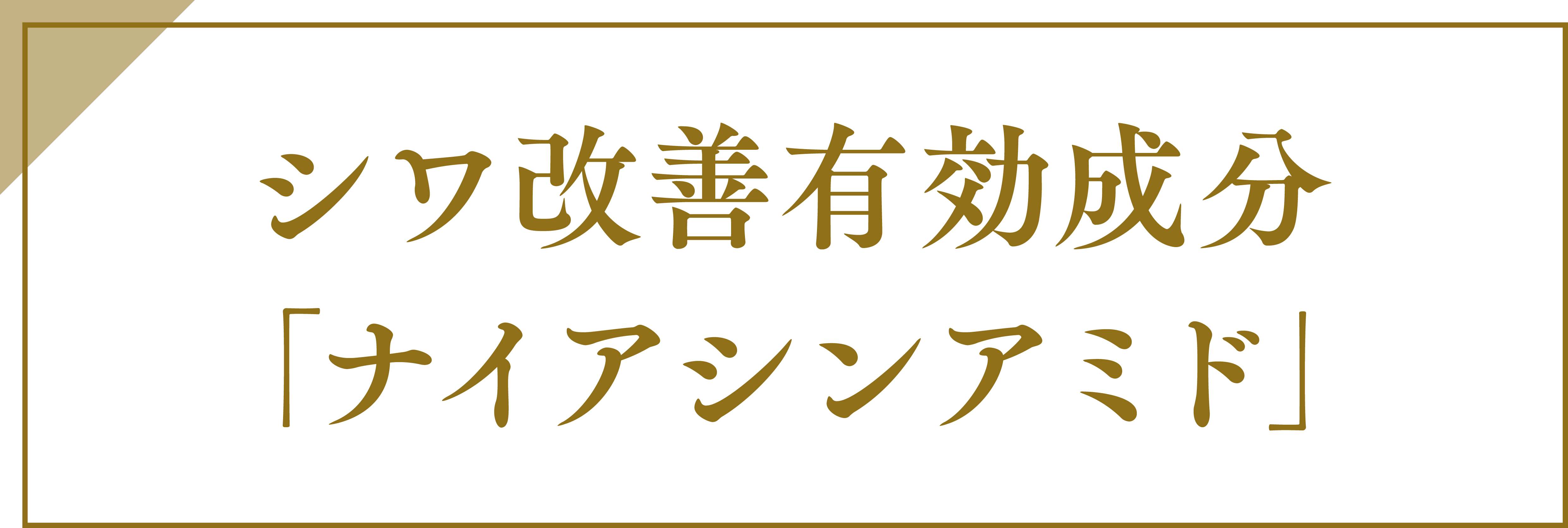 シワ改善有効成分「ナイアシンアミド」