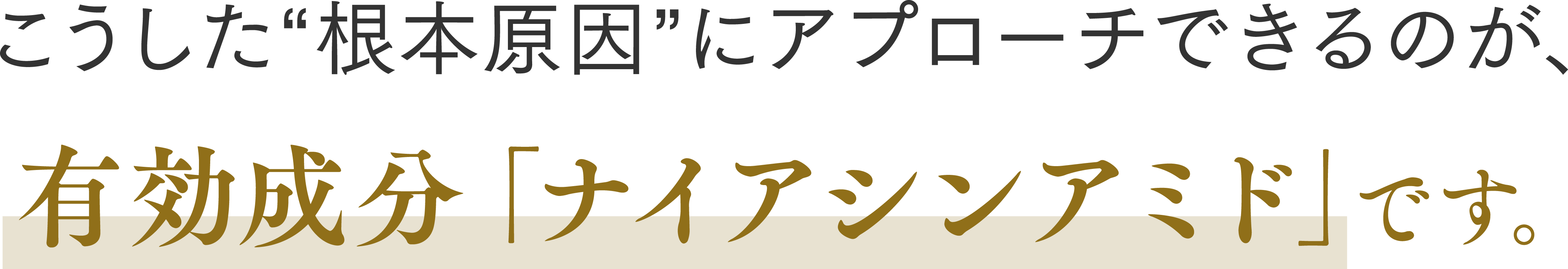 こうした“根本原因”にアプローチできるのが、有効成分「ナイアシンアミド」です。