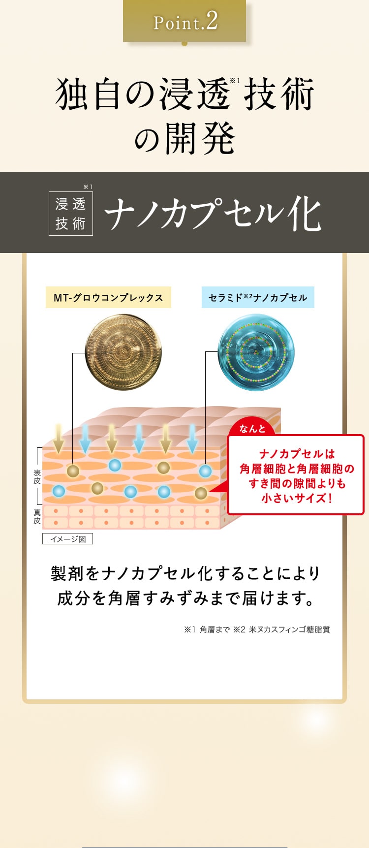 Point2独自の浸透技術の開発