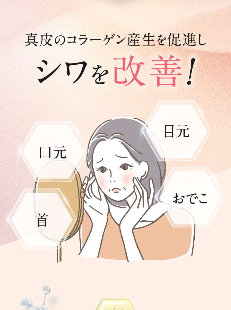 真皮のコラーゲン産生を促進しシワを改善！