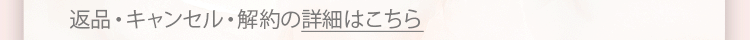 詳細はこちら