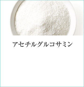 Shirosae　アセチルグルコサミン