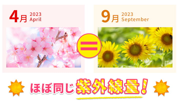 ほぼ同じ紫外線量