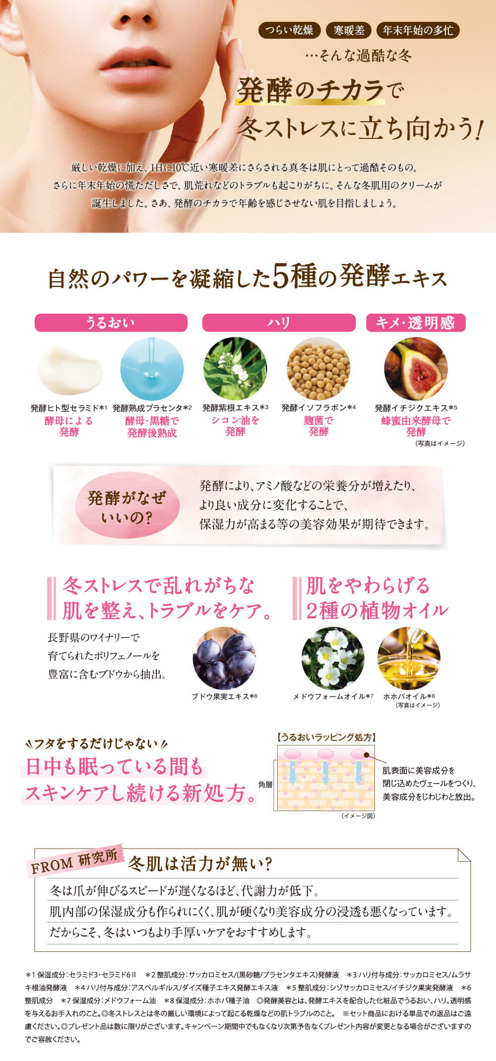 発酵のチカラで冬ストレスに立ち向かう!