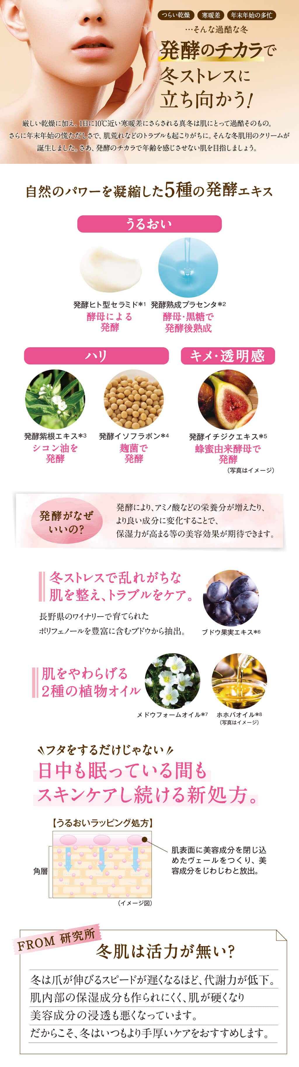 発酵のチカラで冬ストレスに立ち向かう!