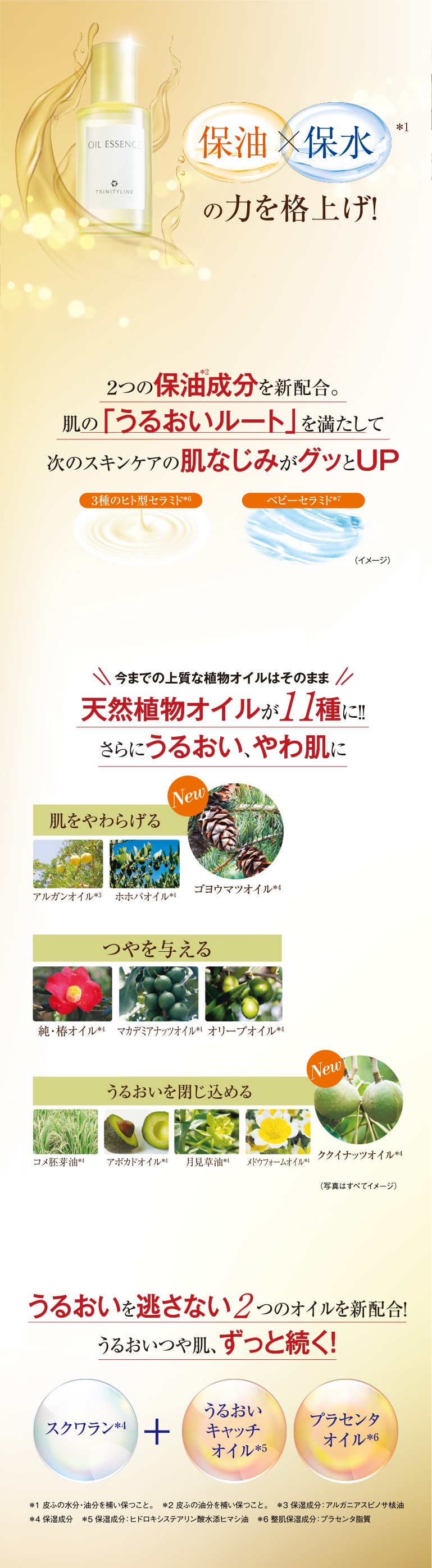 保油×保水の力を格上げ！