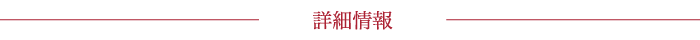 詳細情報
