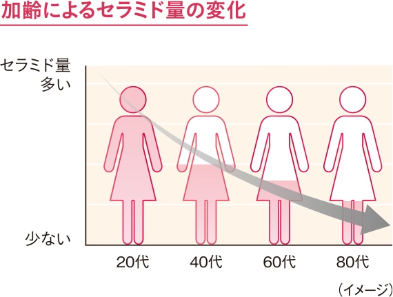 加齢によるセラミド量の変化のグラフ