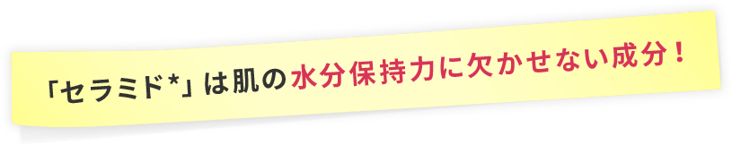 「セラミド＊」は肌の水分保持力に欠かせない成分！