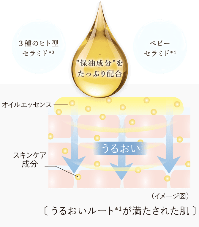 うるおいルートが満たされた肌