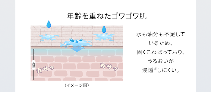 年齢を重ねたゴワゴワ肌 水も油分も不足しているため、固くこわばっており、うるおいが浸透※しにくい。