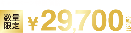 数量限定・無くなり次第終了 数量限定29,700円税込