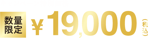 数量限定・無くなり次第終了 数量限定19,000円税込