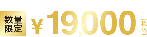 数量限定・無くなり次第終了 数量限定19,000円税込