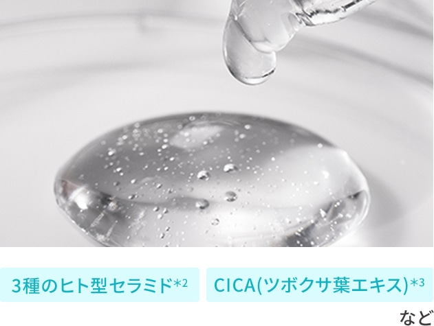 3種のヒト型セラミド＊2 CICA(ツボクサ葉エキス)＊3 など