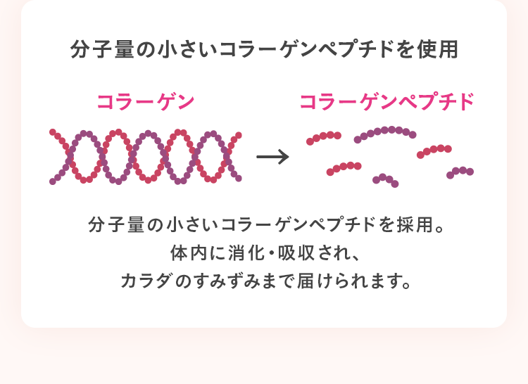 分子量の小さいコラーゲンペプチドを使用 分子量の小さいコラーゲンペプチドを採用。体内に消化・吸収され、カラダのすみずみまで届けられます。