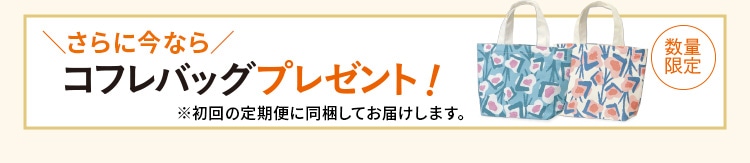 さらに今ならコフレバッグプレゼント！