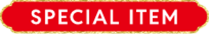 SPECIAL ITEM