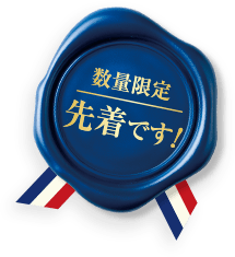 数量限定先着です！