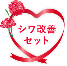 シワ改善セット