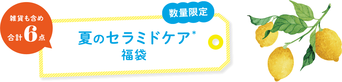 夏のセラミドケア福袋 雑貨を含め合計6点 数量限定