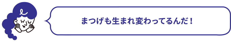 まつげも生まれ変わってるんだ！