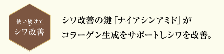 使い続けてシワ改善 シワ改善の鍵「ナイアシンアミド」がコラーゲン生成をサポートしシワを改善。