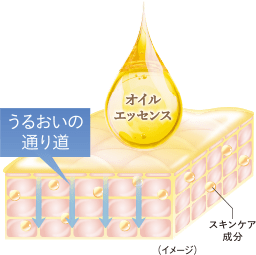 うるおいの通り道のイメージ画像