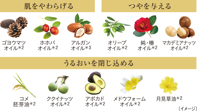 11種類の植物オイルの詳細