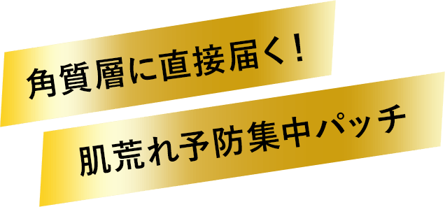 角質層に直接届く! 肌荒れ予防集中パッチ