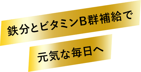 鉄分とビタミンB群補給で 元気な毎日へ
