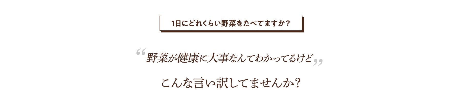1日にどれくらい野菜をたべてますか? 野菜が健康に大事なんてわかってるけどこんな言い訳してませんか?