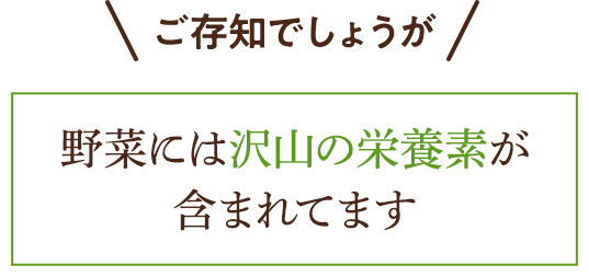 \ご存知でしょうが/野菜には沢山の栄養素が含まれています
