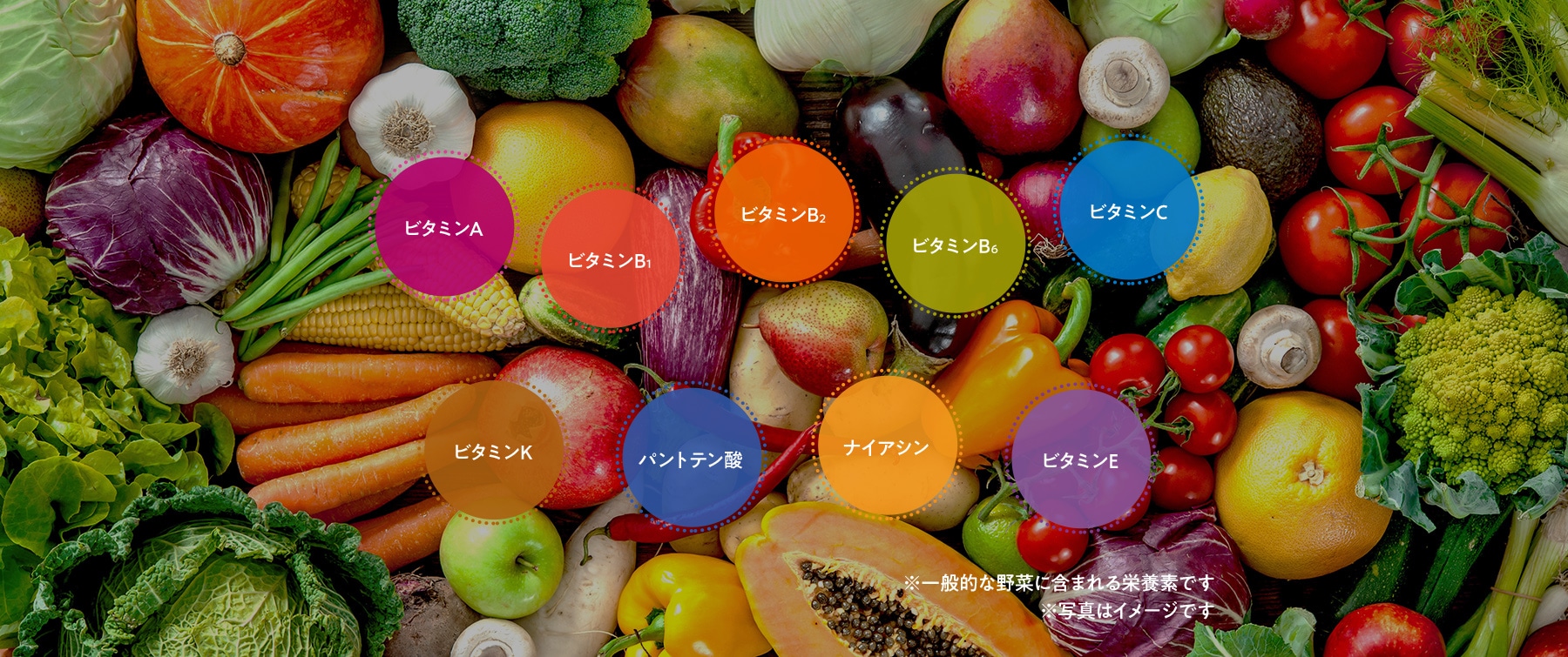 ビタミンA ビタミンB1 ビタミンB2 ビタミンC ビタミンK ビタミンB6 パントテン酸 ナイアシン ビタミンE