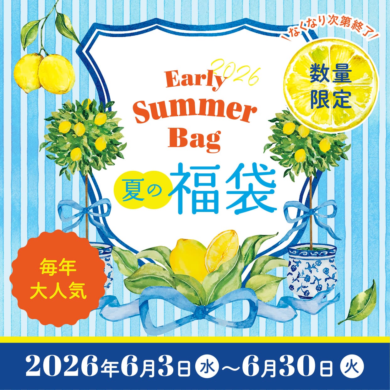 夏の福袋